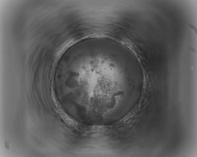 X0000100360145200806061147