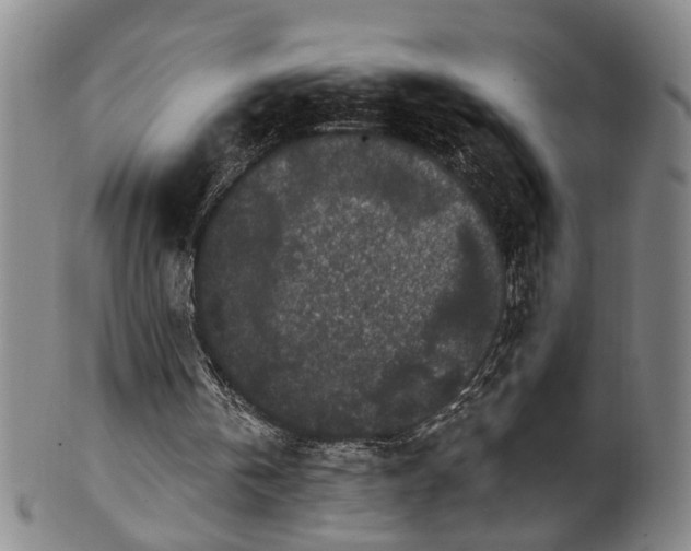 X0000100360146200806061147