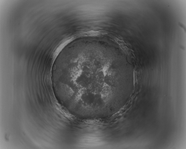 X0000100360147200806061147