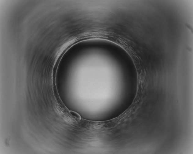 X0000100360148200806061147