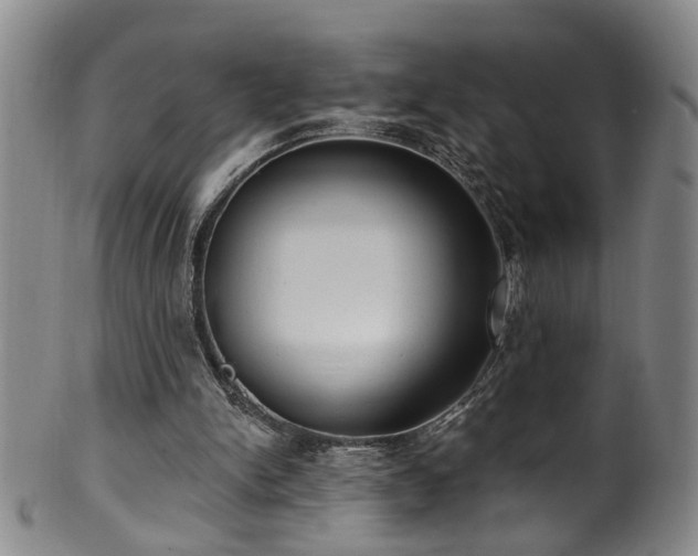 X0000100360150200806061147