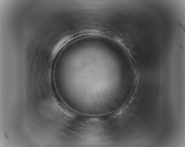 X0000100360151200806061147