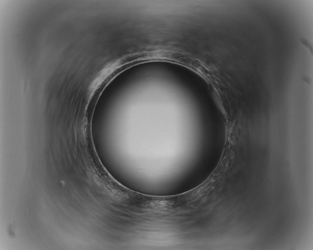 X0000100360152200806061147