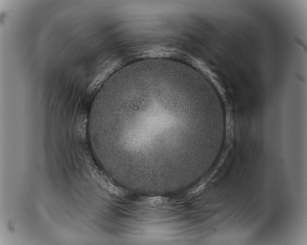 X0000100360153200806061147