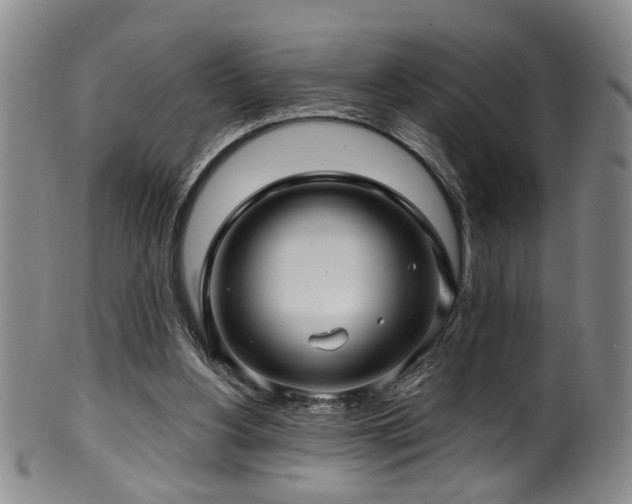 X0000100360156200806061147