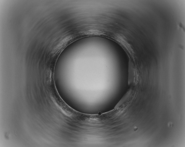 X0000100360157200806061147