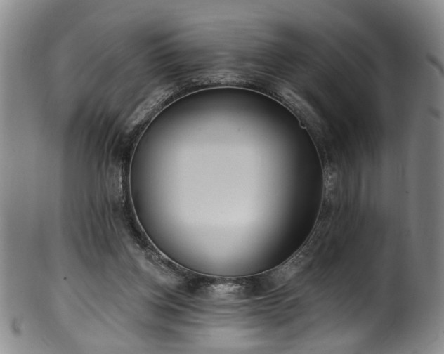 X0000100360158200806061147