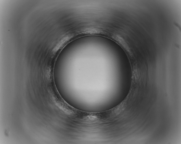 X0000100360159200806061147