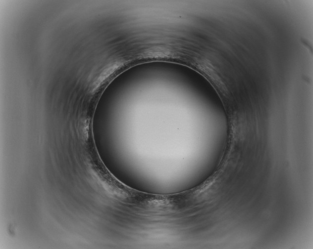 X0000100360160200806061147