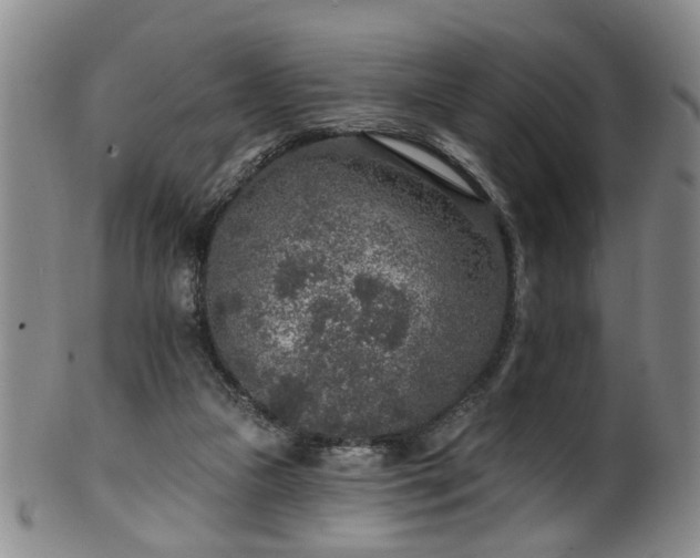 X0000100360161200806061147