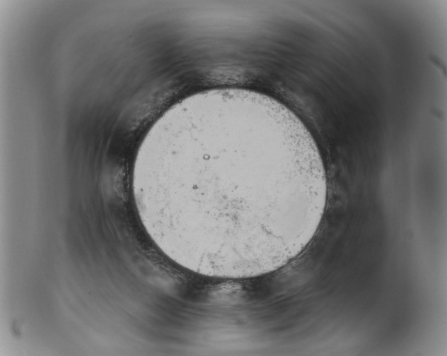 X0000100360162200806061147