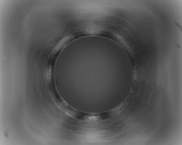 X0000100360163200806061147