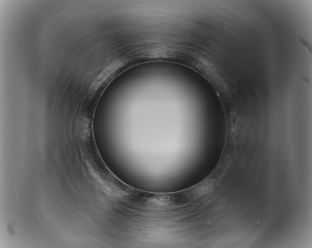 X0000100360164200806061147