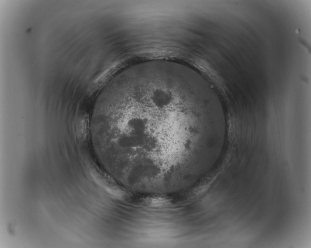 X0000100360165200806061147