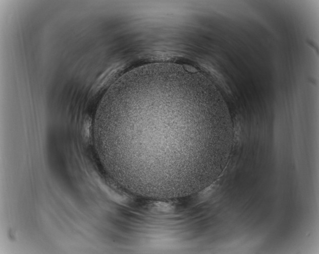 X0000100360166200806061147