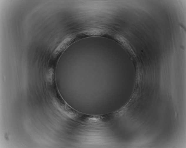 X0000100360167200806061147