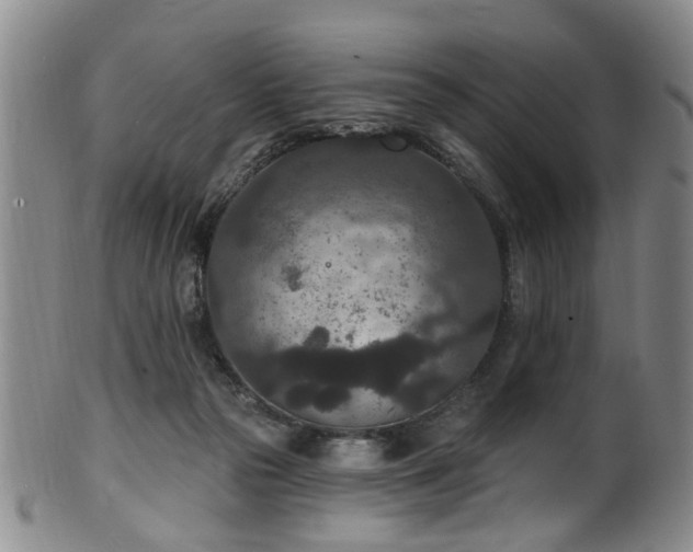 X0000100360169200806061147