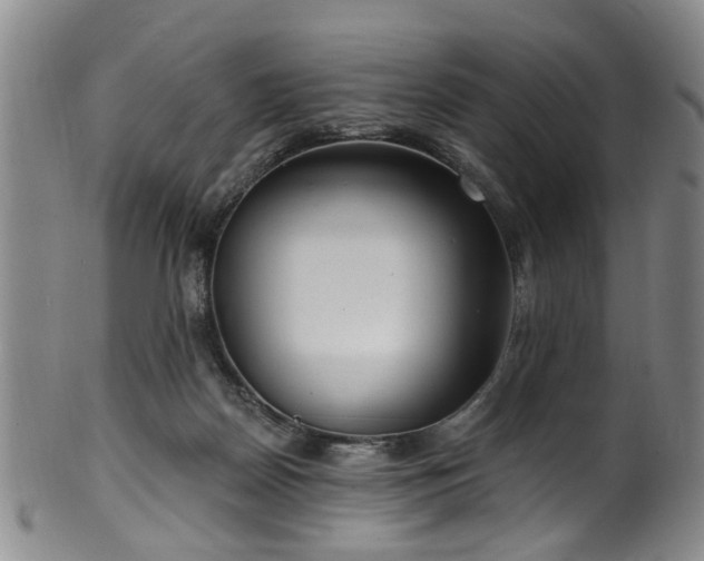 X0000100360170200806061147