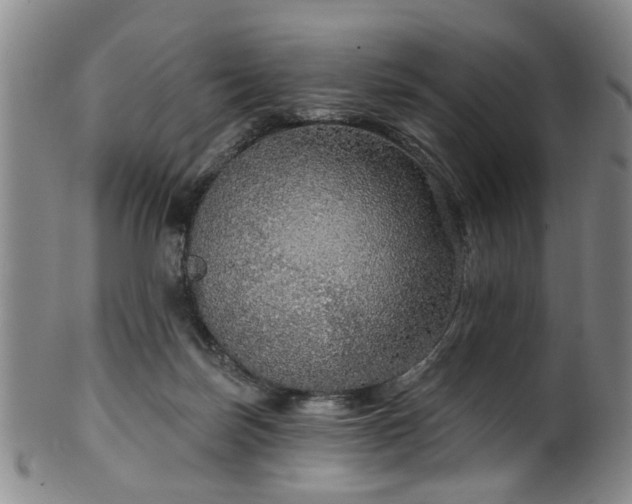 X0000100360171200806061147