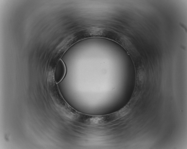 X0000100360172200806061147