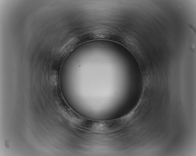 X0000100360174200806061147