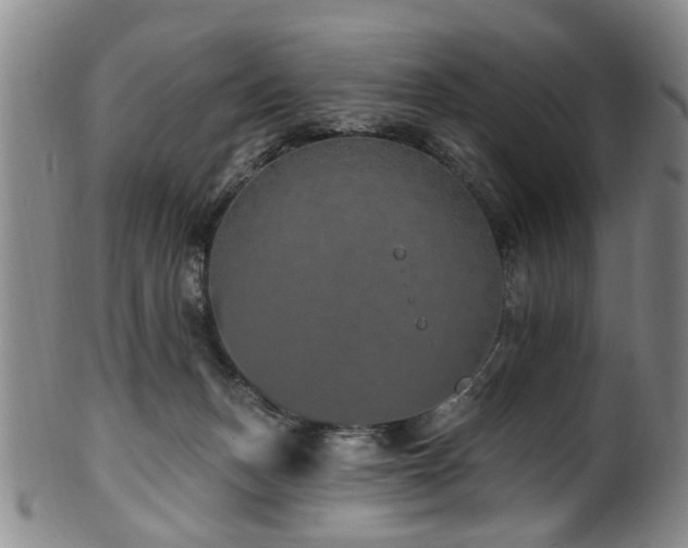 X0000100360175200806061147