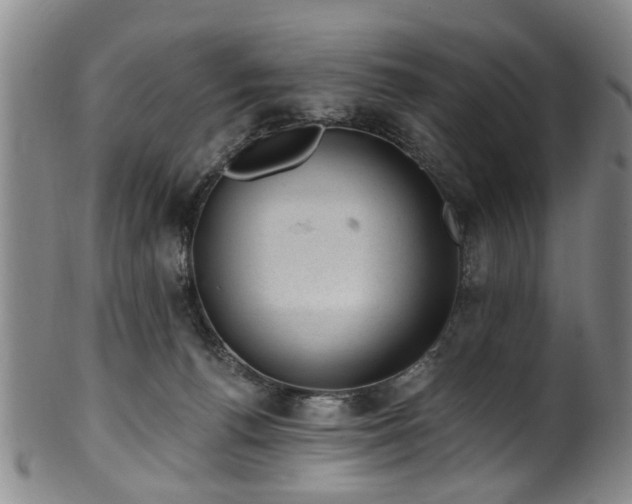 X0000100360176200806061147