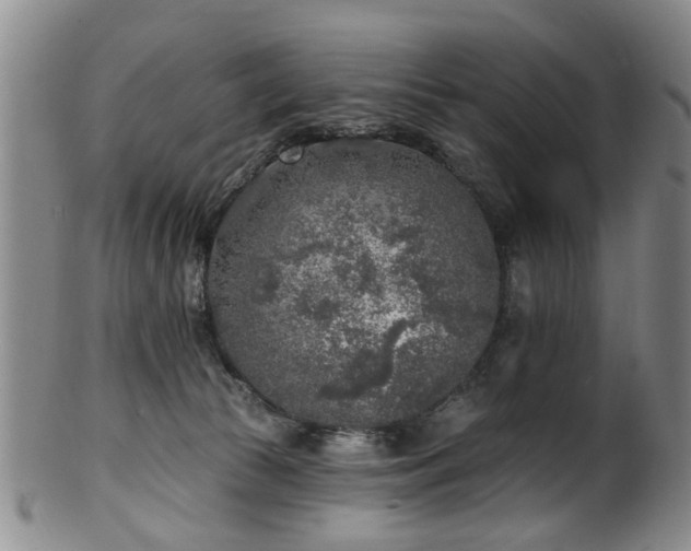 X0000100360177200806061147