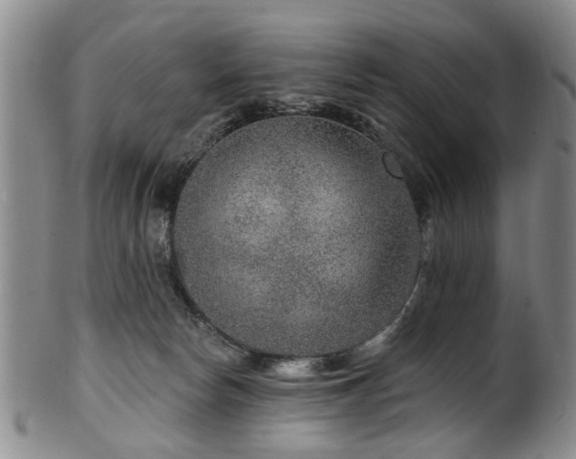 X0000100360178200806061147