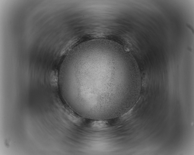 X0000100360179200806061147