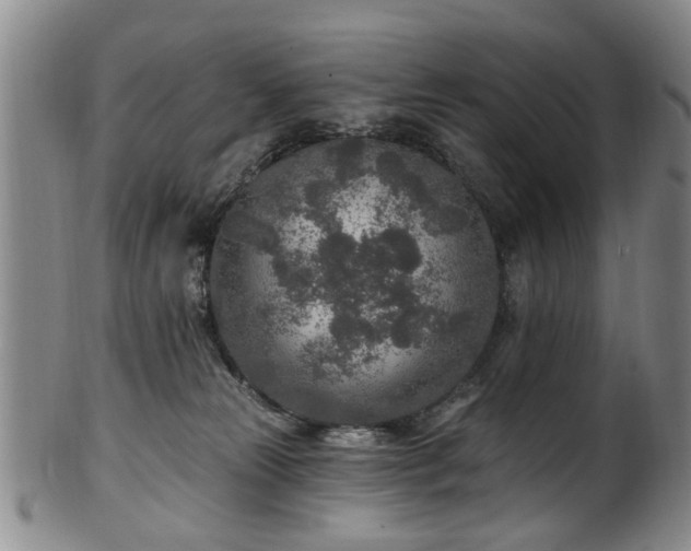 X0000100360181200806061147