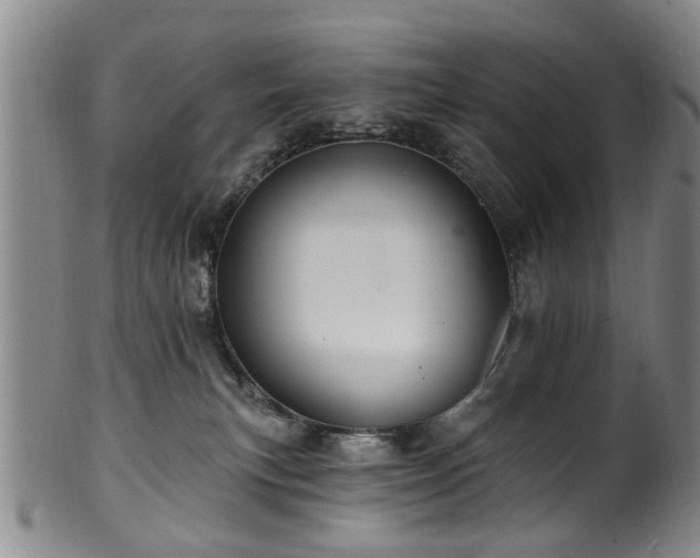 X0000100360183200806061147