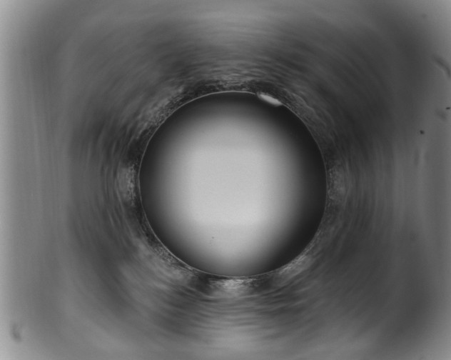 X0000100360184200806061147