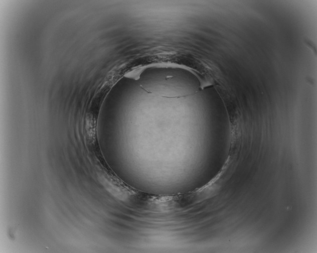 X0000100360186200806061147