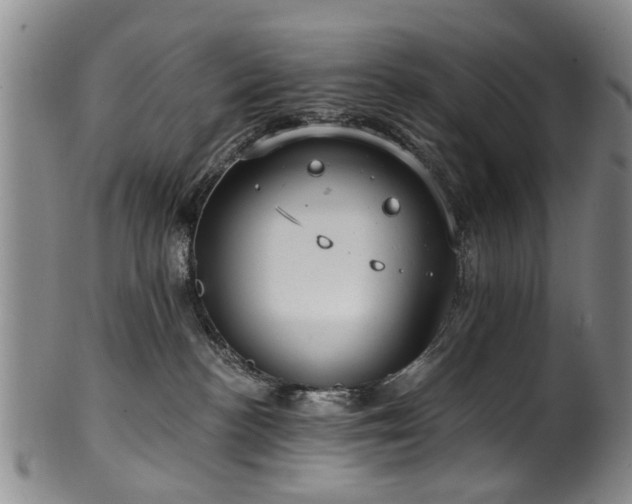 X0000100360188200806061147