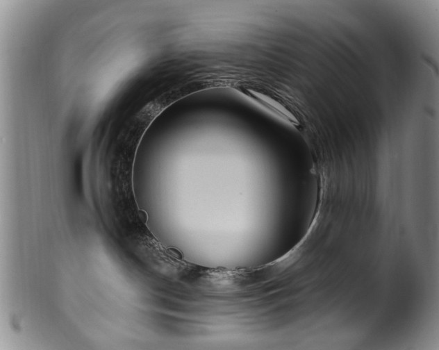 X0000100360190200806061147