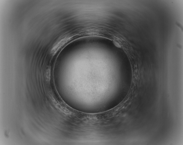 X0000100360194200806061146