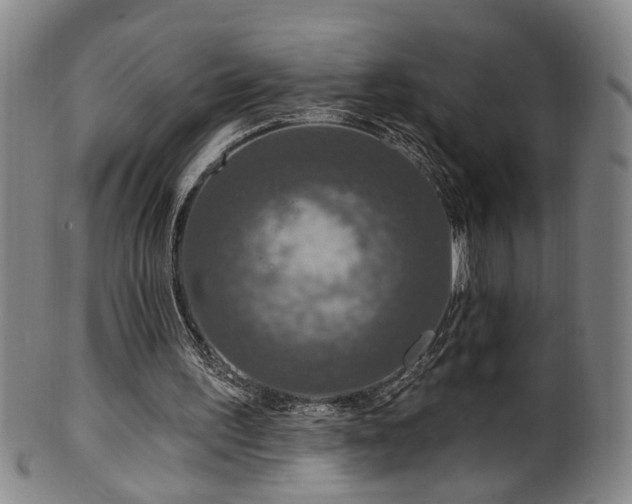 X0000100360195200806061146