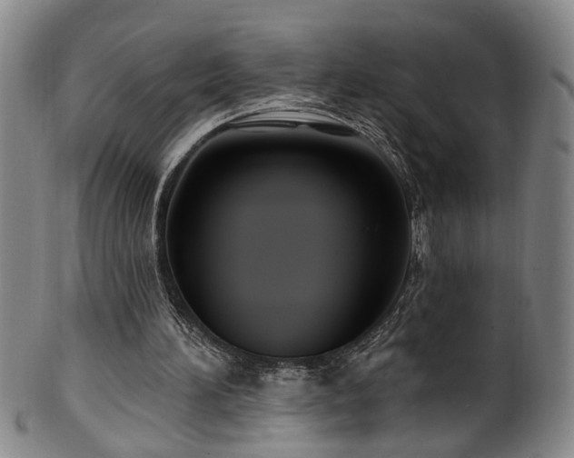 X0000100360196200806061146