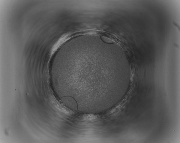 X0000100360198200806061146