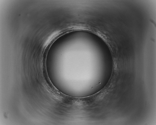 X0000100360199200806061146