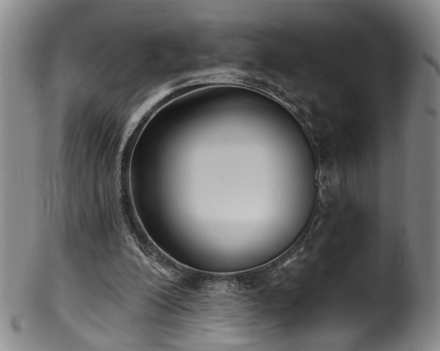 X0000100360200200806061146