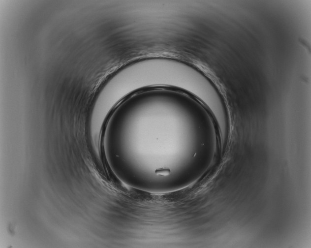 X0000100360201200806061146