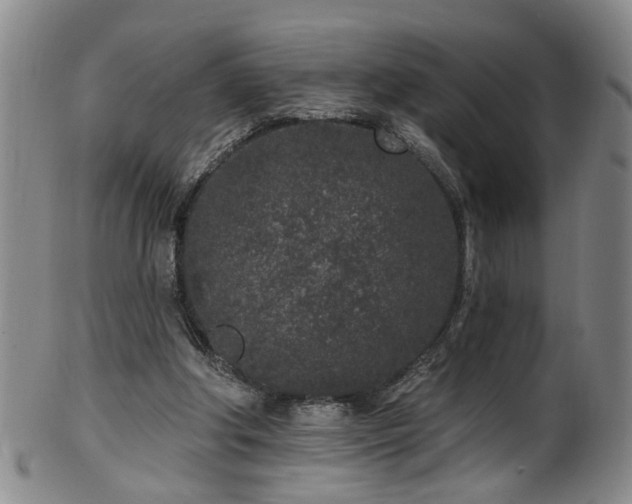 X0000100360202200806061146