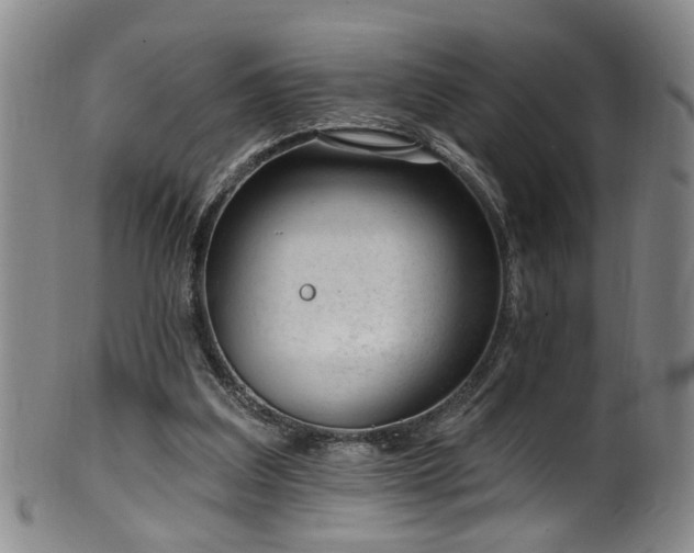 X0000100360203200806061146