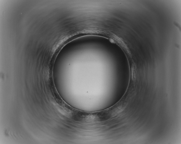 X0000100360204200806061146