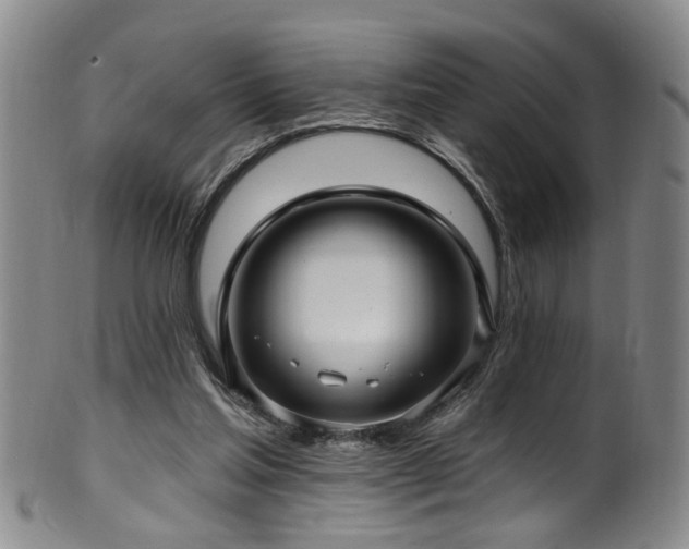 X0000100360205200806061146