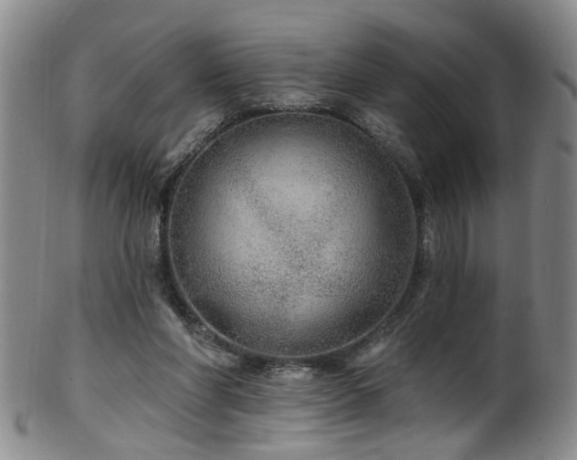 X0000100360206200806061146