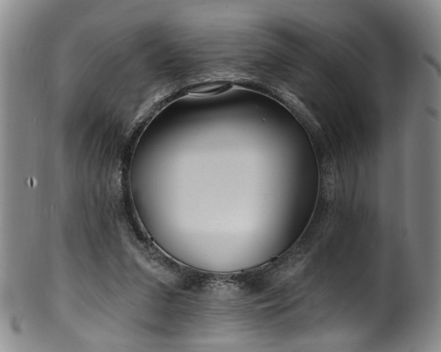 X0000100360207200806061146