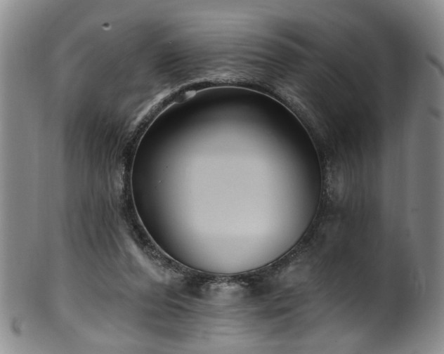 X0000100360208200806061146